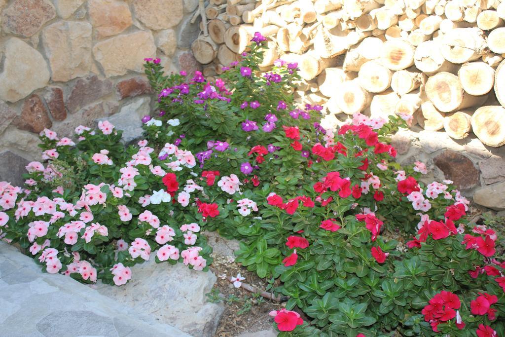 Modern&Quiet Place Eilat Dış mekan fotoğraf